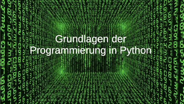 Projektwoche 2025